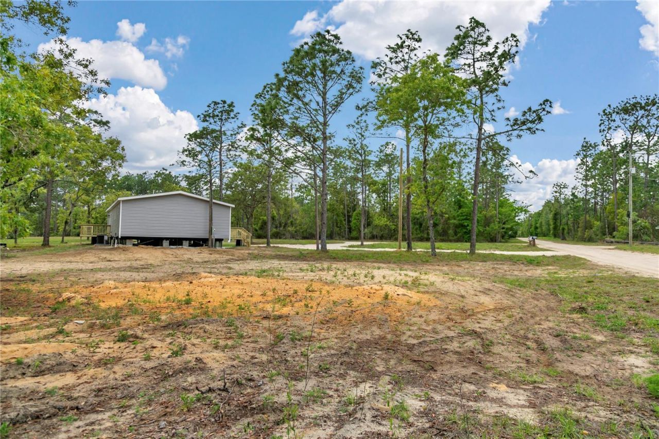 1191 NE 124th Terrace , Williston, FL 32696 Photo