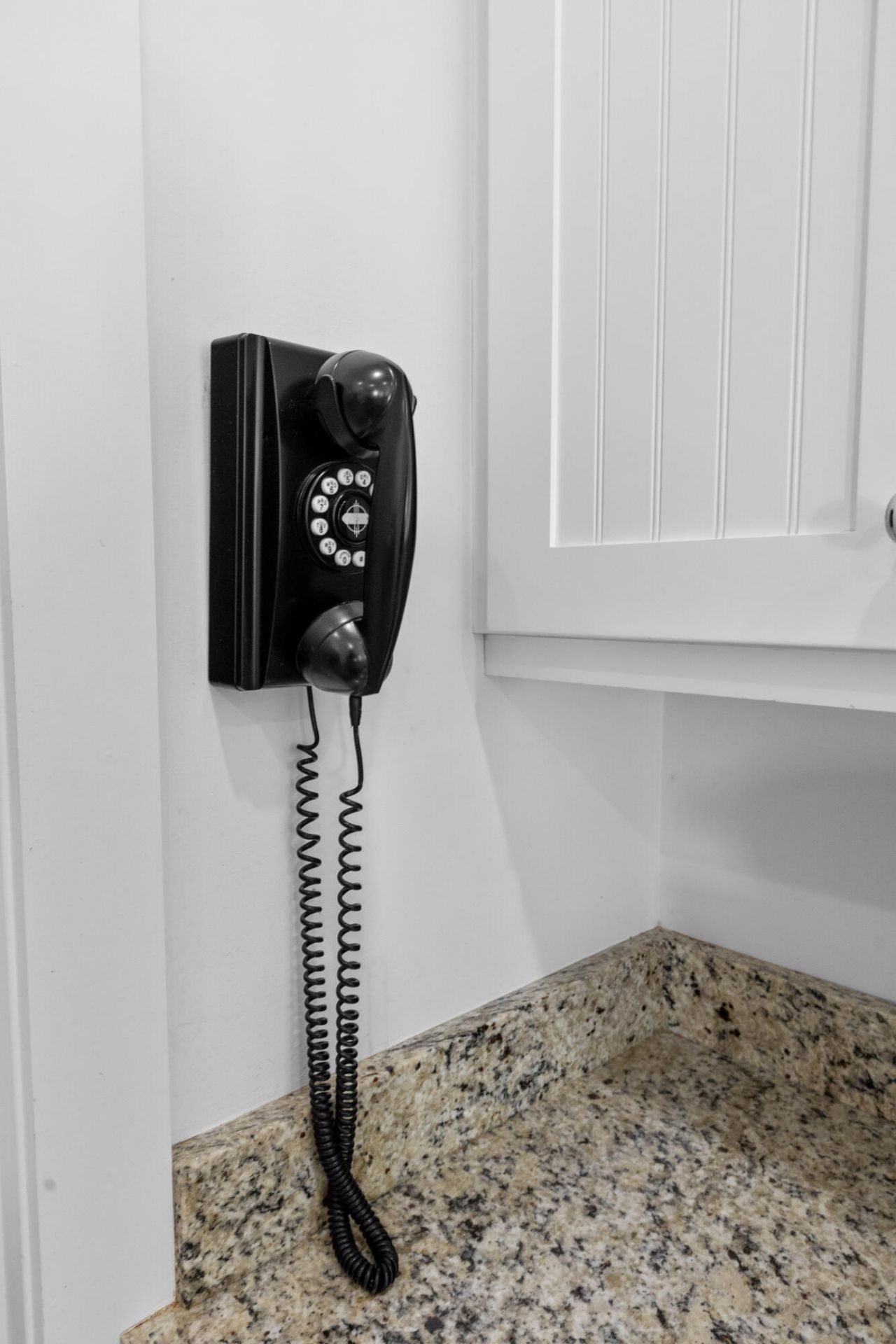 461 Bramson Court Photo 20