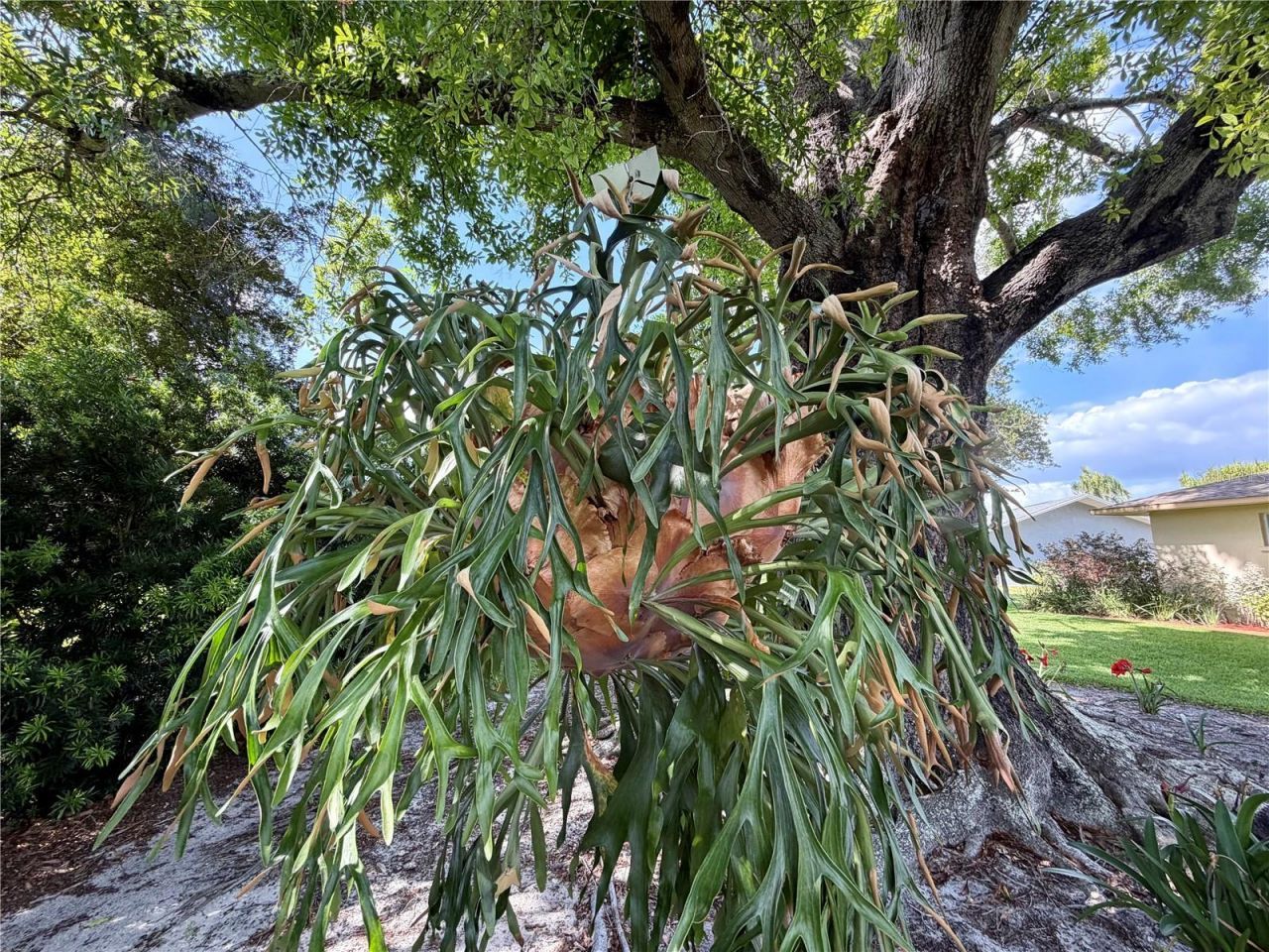 1518 70th Street W, Bradenton, FL 34209 Photo