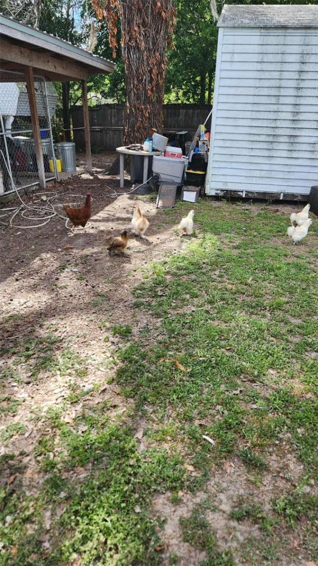 151 Elm Street , Center Hill, FL 33514 Photo