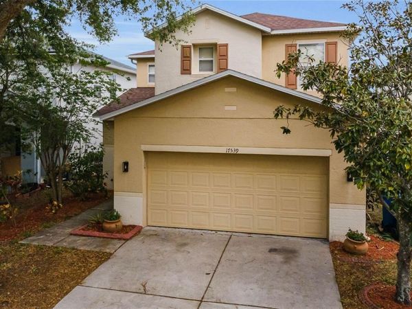 17539 BALMAHA DRIVE, LAND O LAKES, FL 34638