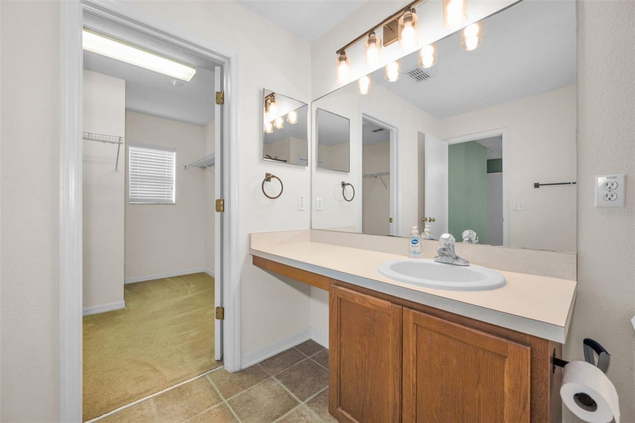 17539 Balmaha Drive, Land O Lakes, FL 34638 Photo