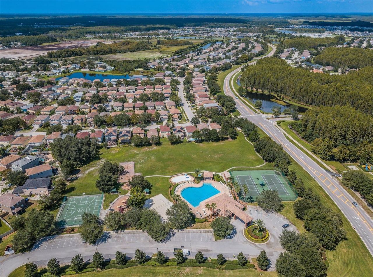 17539 Balmaha Drive, Land O Lakes, FL 34638 Photo