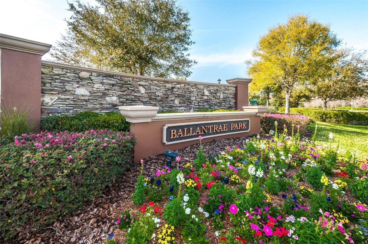 17539 Balmaha Drive, Land O Lakes, FL 34638 Photo
