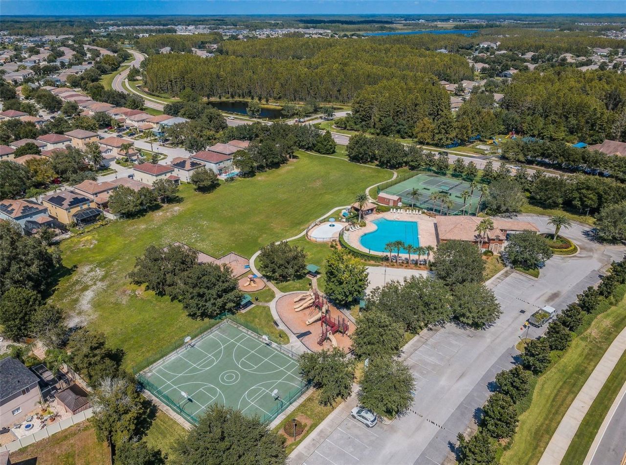 17539 Balmaha Drive, Land O Lakes, FL 34638 Photo