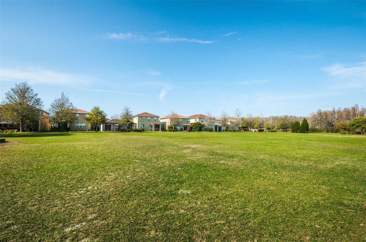 17539 Balmaha Drive, Land O Lakes, FL 34638 Photo