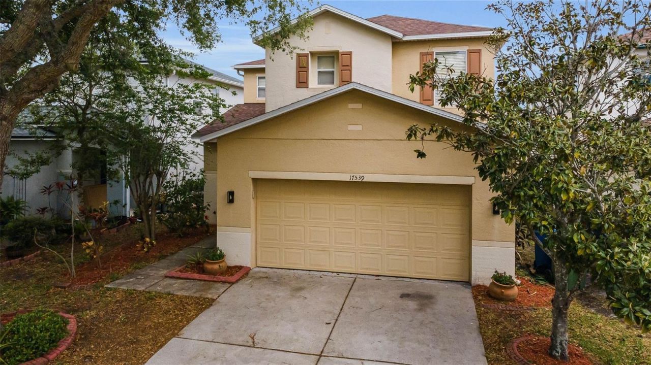 17539 Balmaha Drive, Land O Lakes, FL 34638 Photo