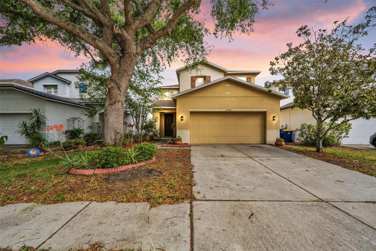 17539 Balmaha Drive, Land O Lakes, FL 34638 Photo