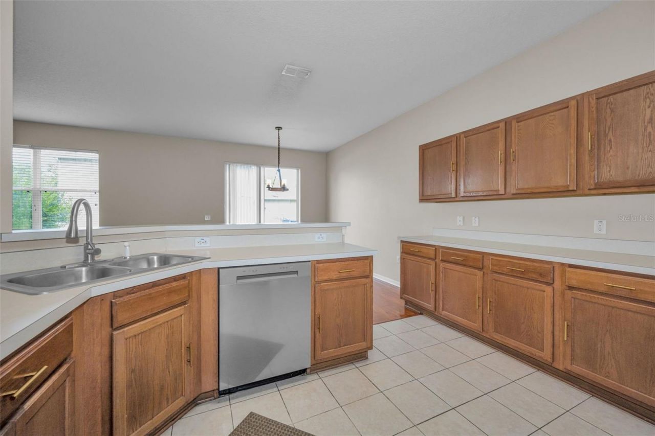 17539 Balmaha Drive, Land O Lakes, FL 34638 Photo