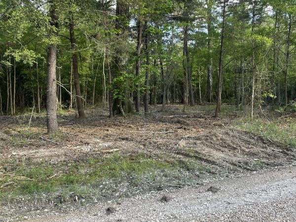 3 Three Knotch Rd, Clinton, LA 70722