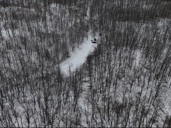 Tower Rd Road, Curran, MI 48728