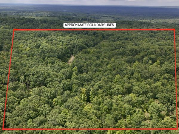 Tower Road, Curran, MI 48728