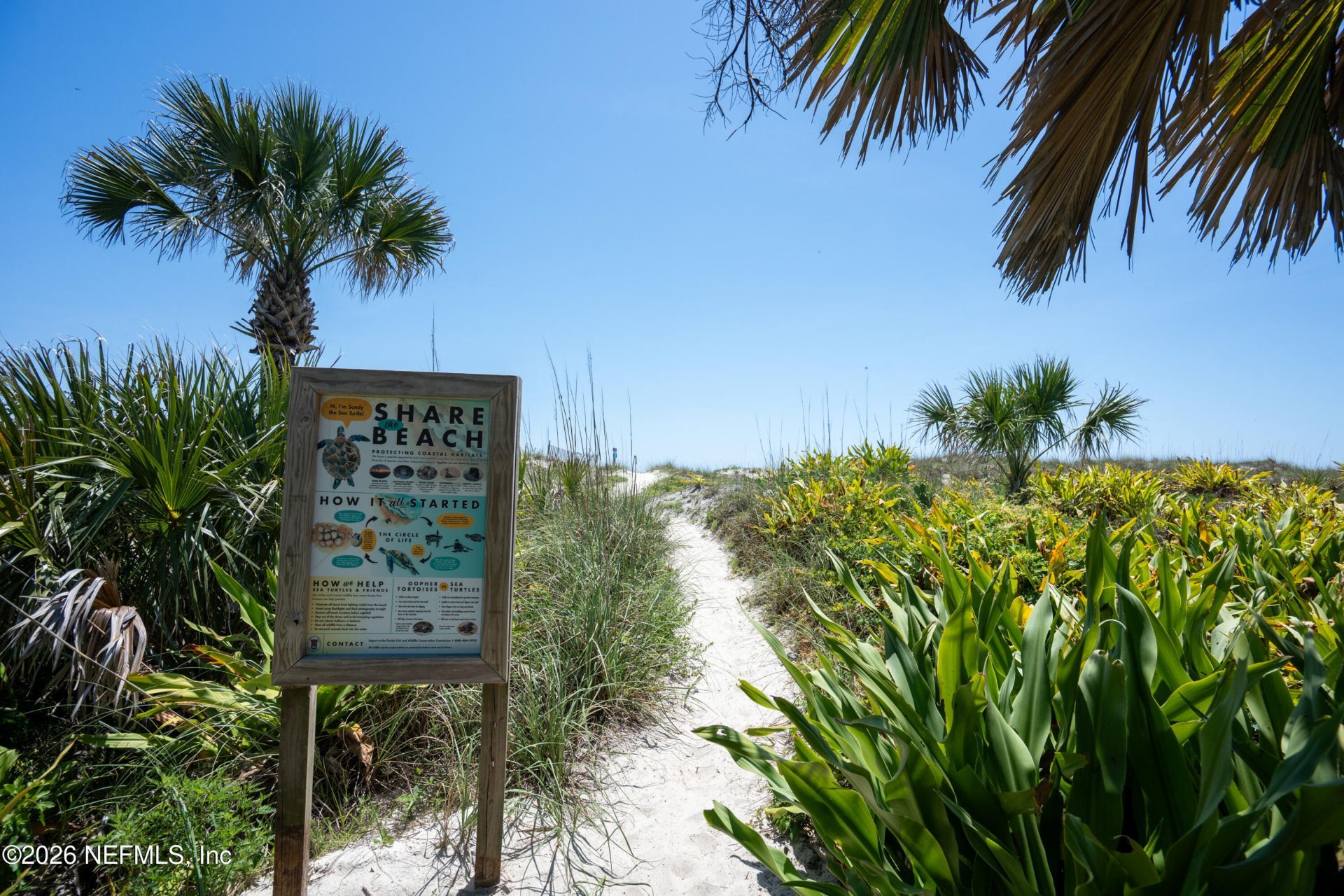 740 A1a Beach Boulevard, Unit B & D, Saint Augustine Beach, FL 32080 Photo