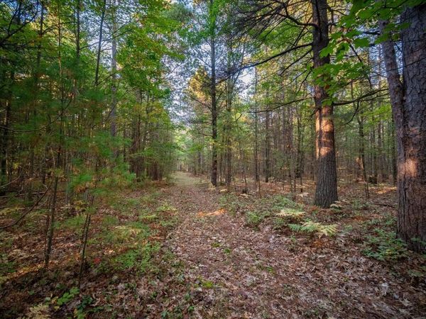 North Wildwood Road, Manistee, MI 49660