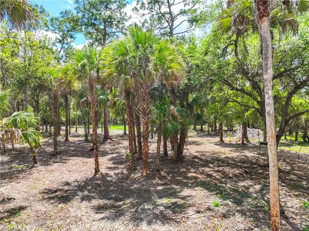 3466 32nd Ave Se, Naples, FL 34117 Photo