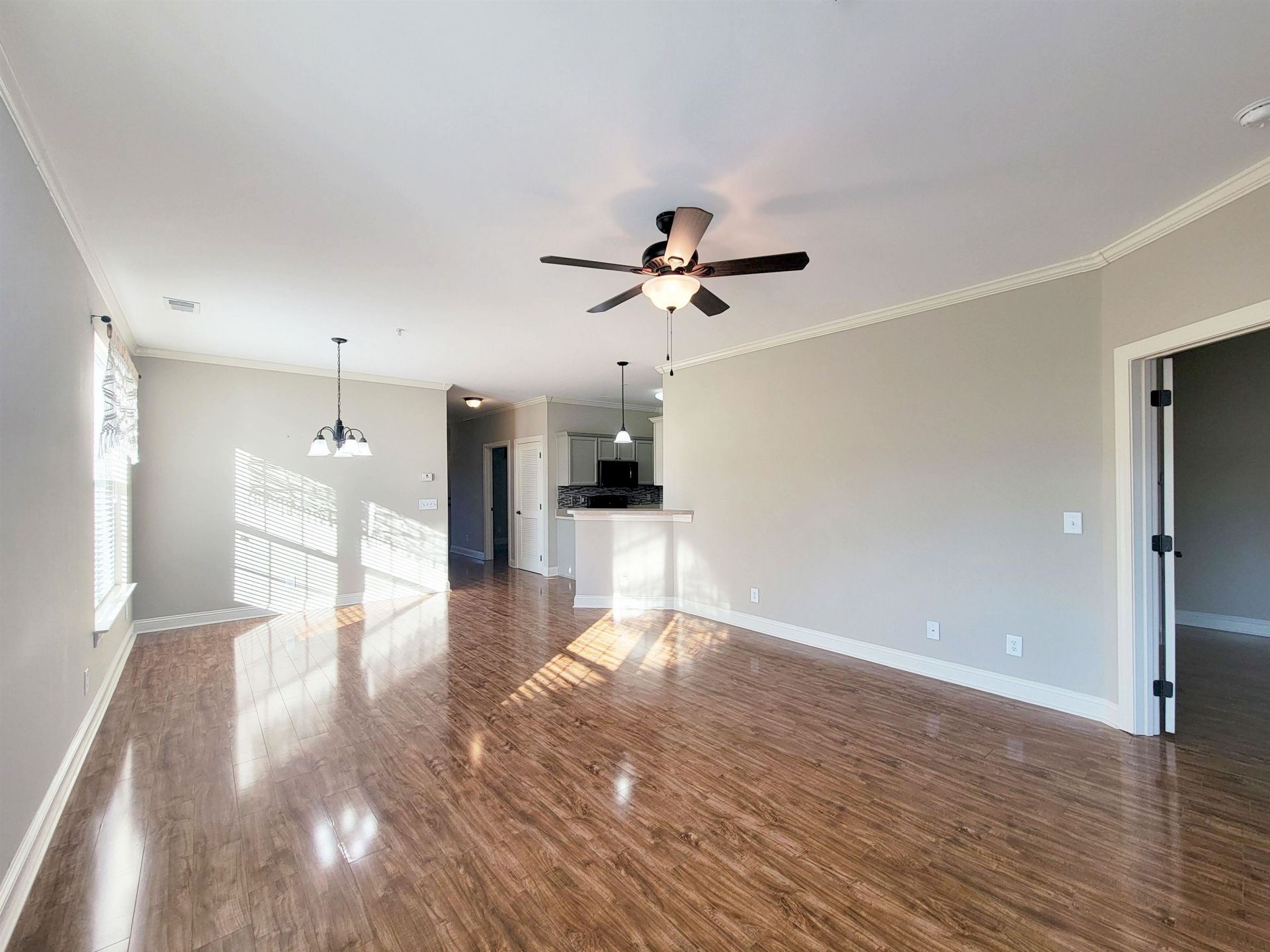 100 Ella Kinley Circle Photo 17