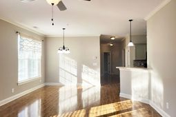 100 Ella Kinley Circle photo 4