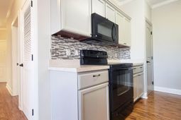 100 Ella Kinley Circle photo 4