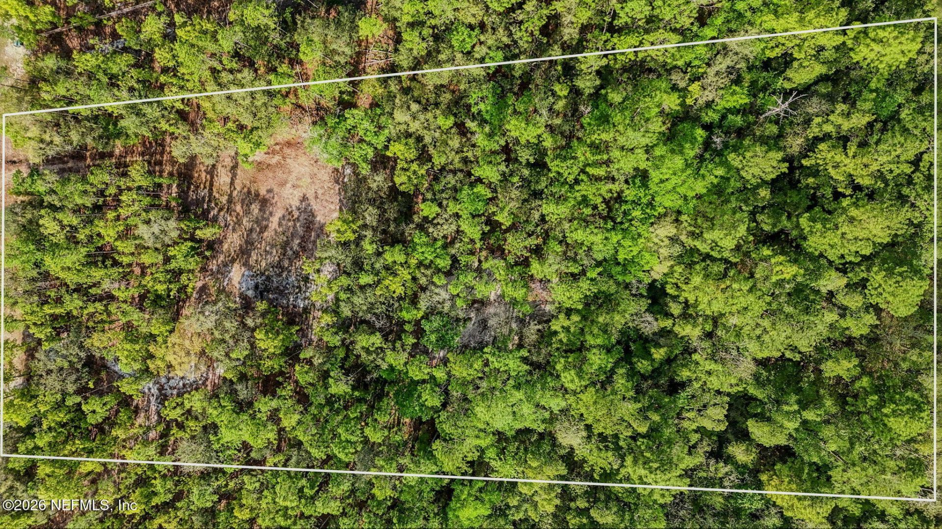 13541 Settindown Drive, Bryceville, FL 32009 Photo