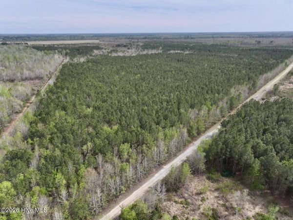 0 Guinea Mill Road, Ernul, NC 28527