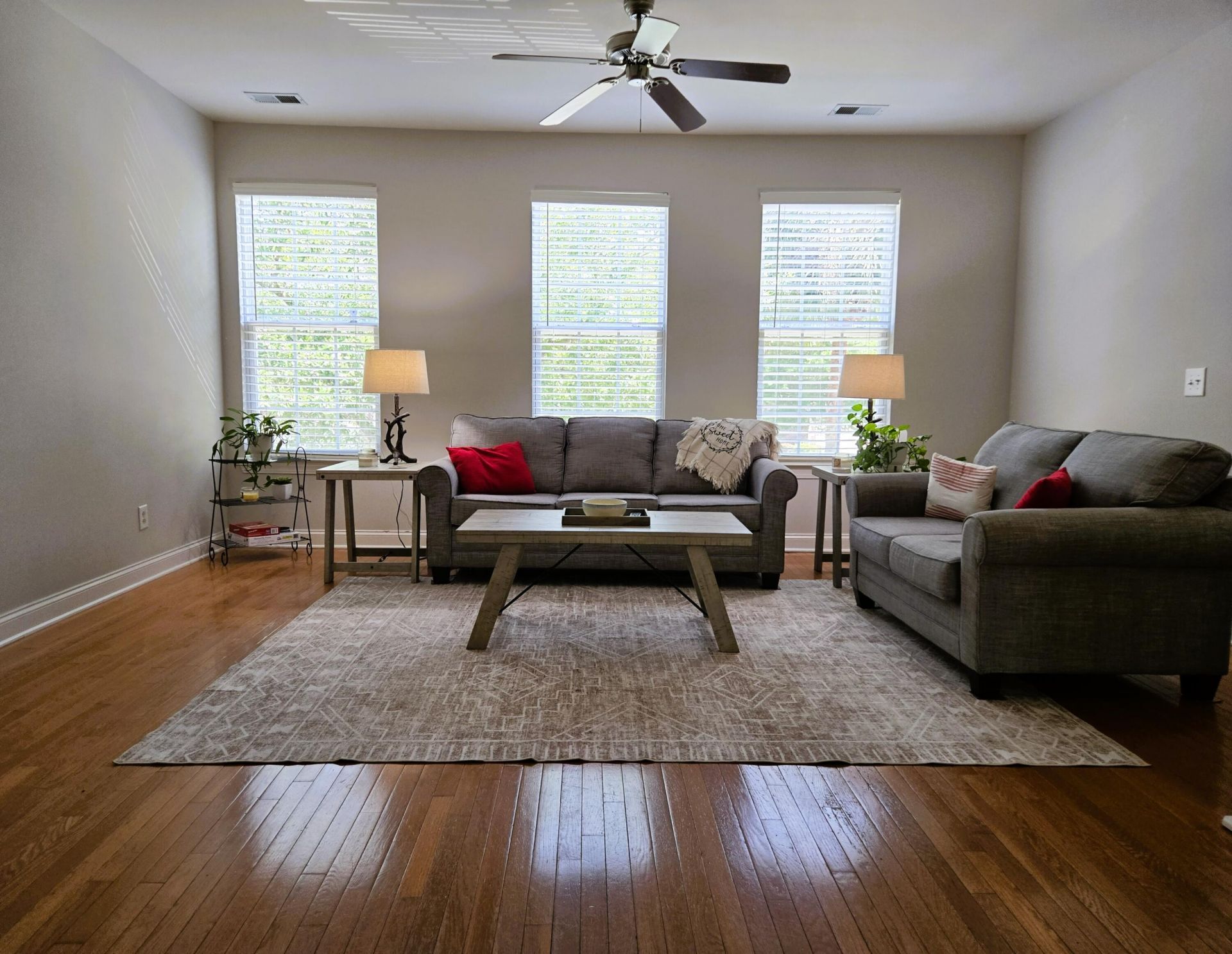 9019 Parlor Drive Photo 5
