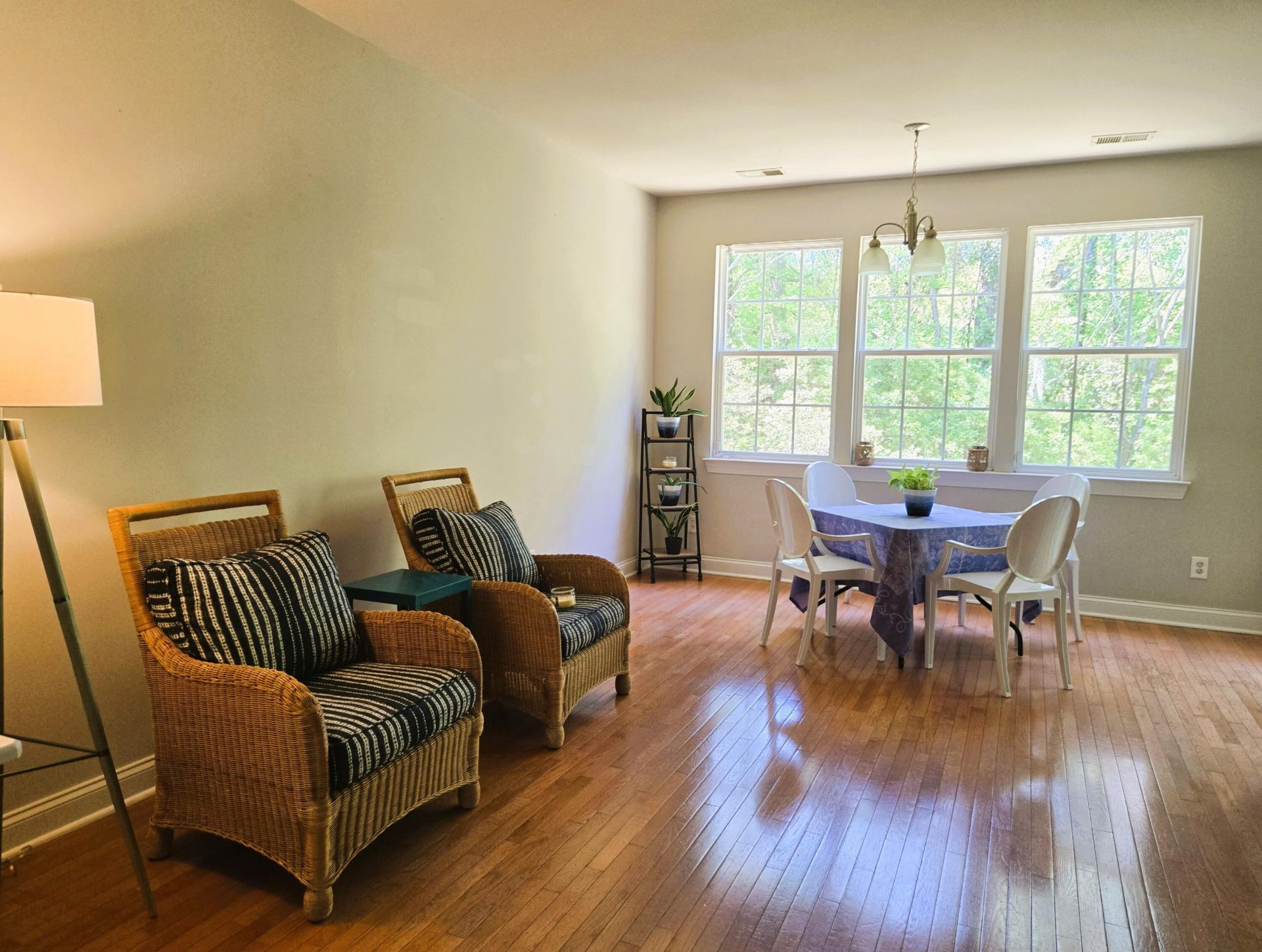 9019 Parlor Drive Photo 7