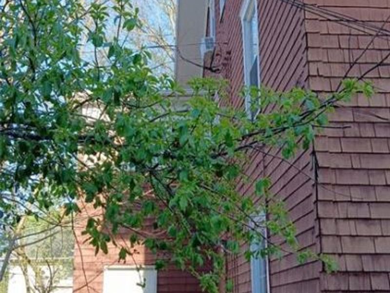 126 E Cassilly Street, Springfield, OH 45504 Photo 10