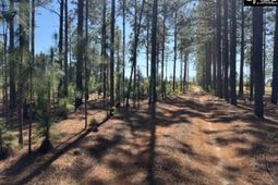 2419 Edgefield Highway photo 4