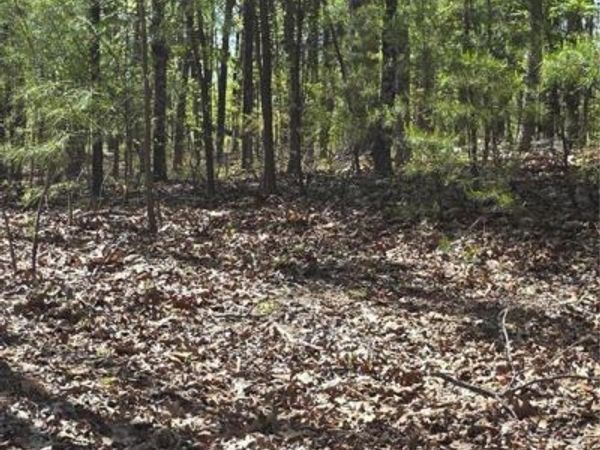 1354 Hunter Drive, Ranger, GA 30734