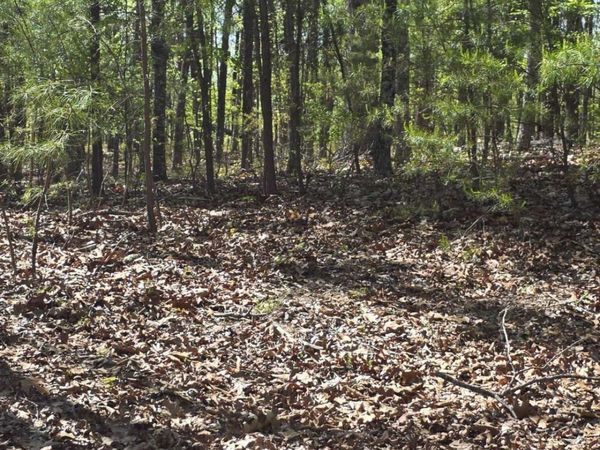 1354 Hunter Drive, Ranger, GA 30734