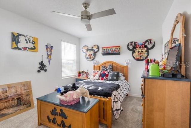 4382 Finch Lane , Kissimmee, FL 34746 Photo