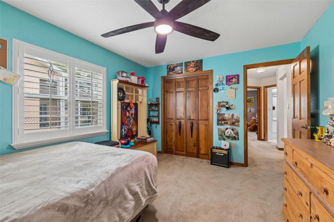 9824 Hermosillo Drive, New Port Richey, FL 34655 Photo