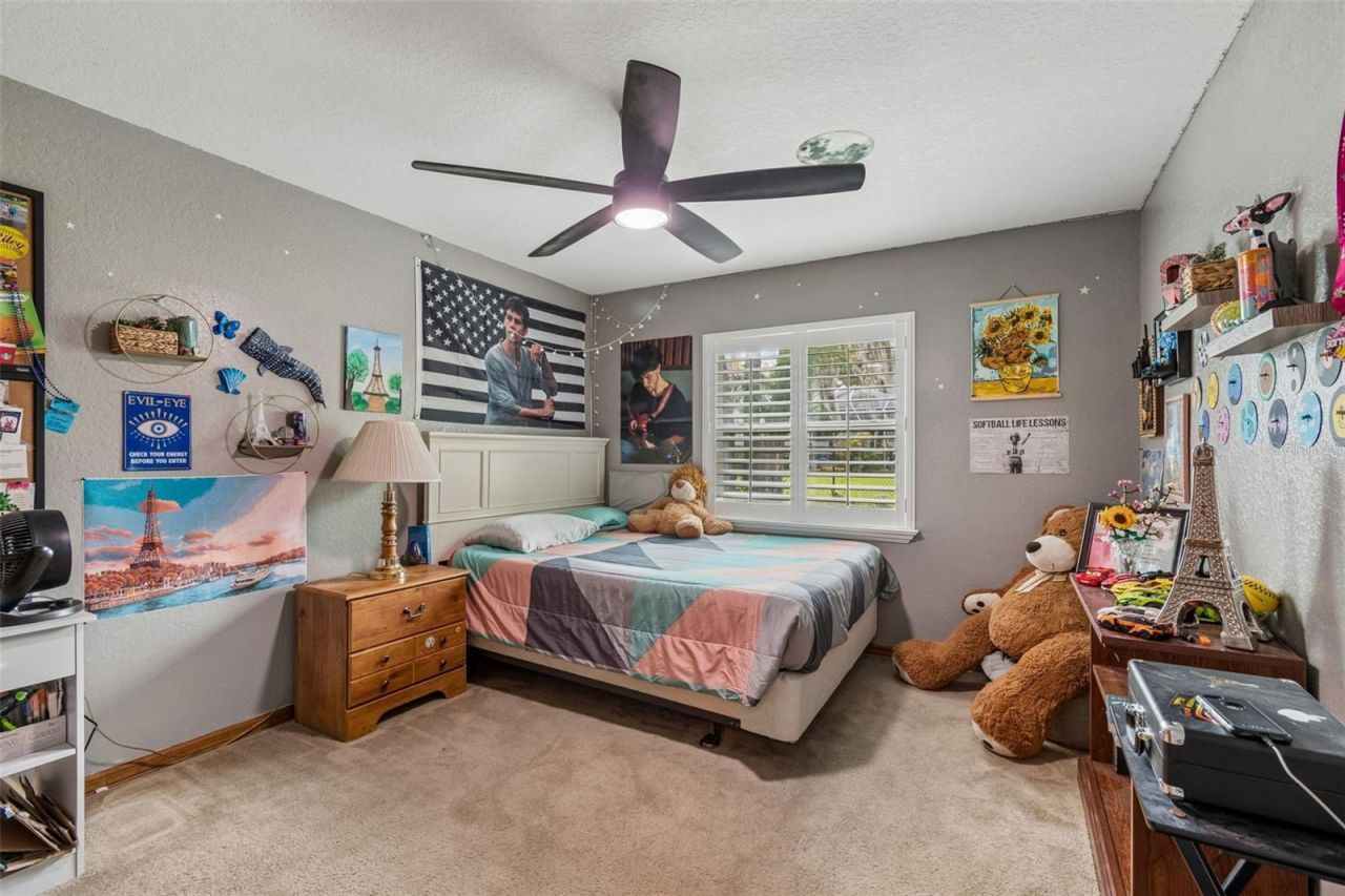 9824 Hermosillo Drive, New Port Richey, FL 34655 Photo