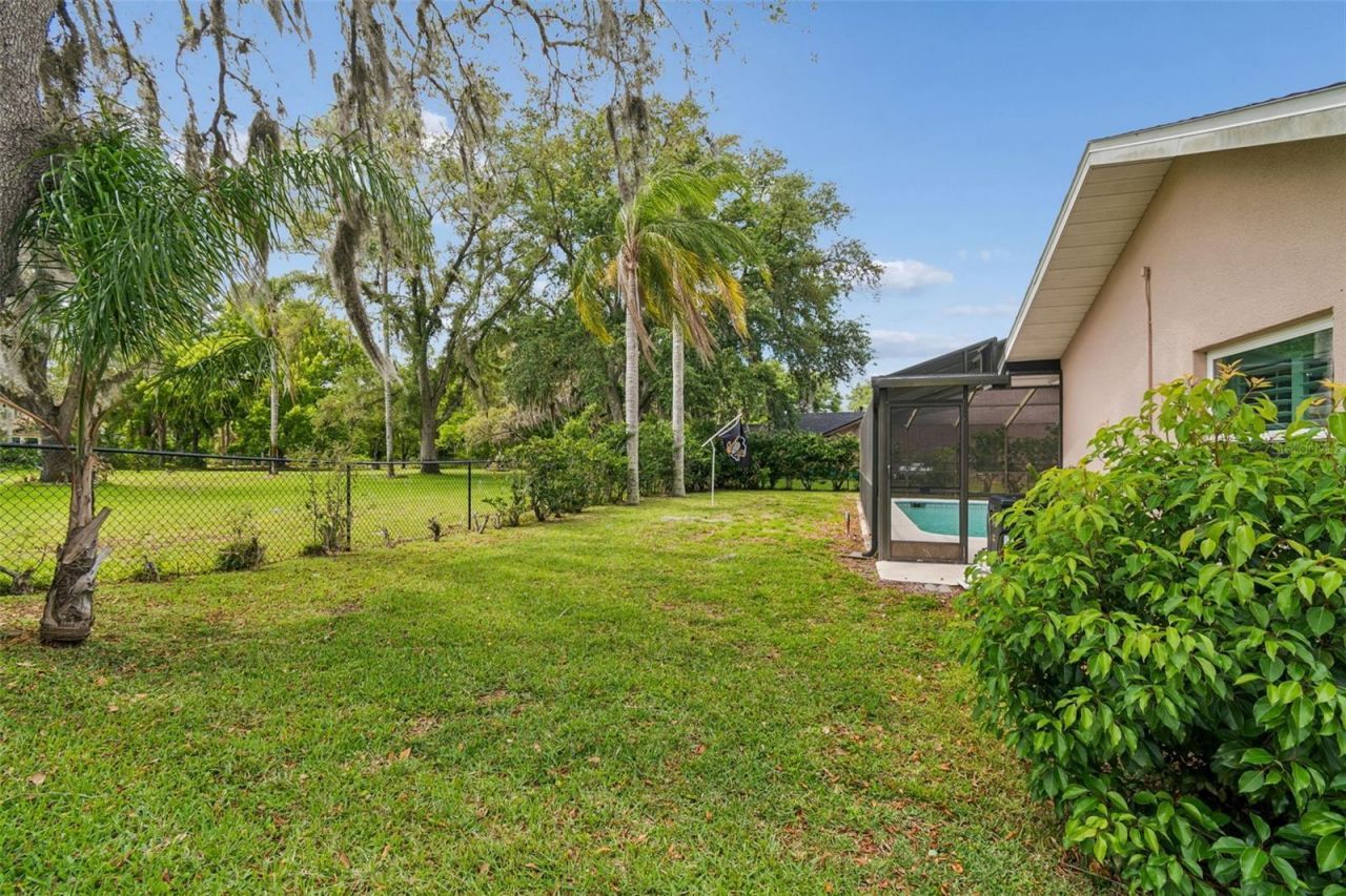 9824 Hermosillo Drive, New Port Richey, FL 34655 Photo