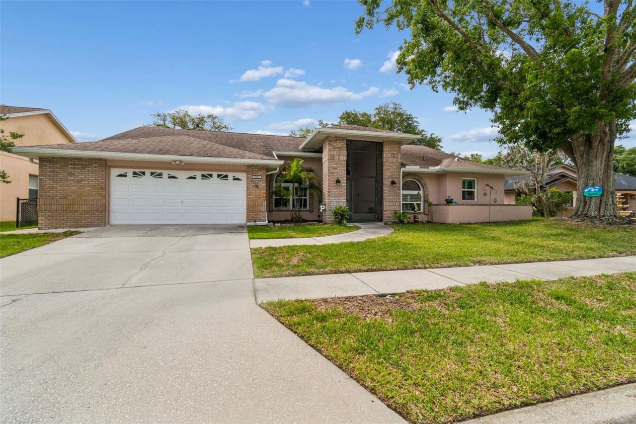 9824 Hermosillo Drive, New Port Richey, FL 34655 Photo