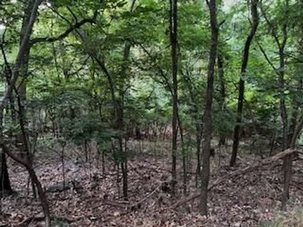 Lot 18 Kansas Drive , Monkey Island, OK 74331