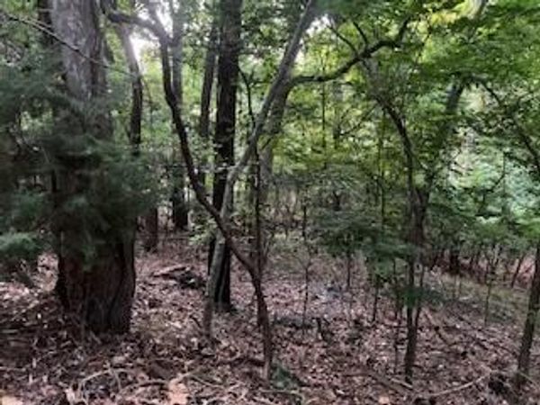 Lots 15&16 Vinita Circle , Monkey Island, OK 74331