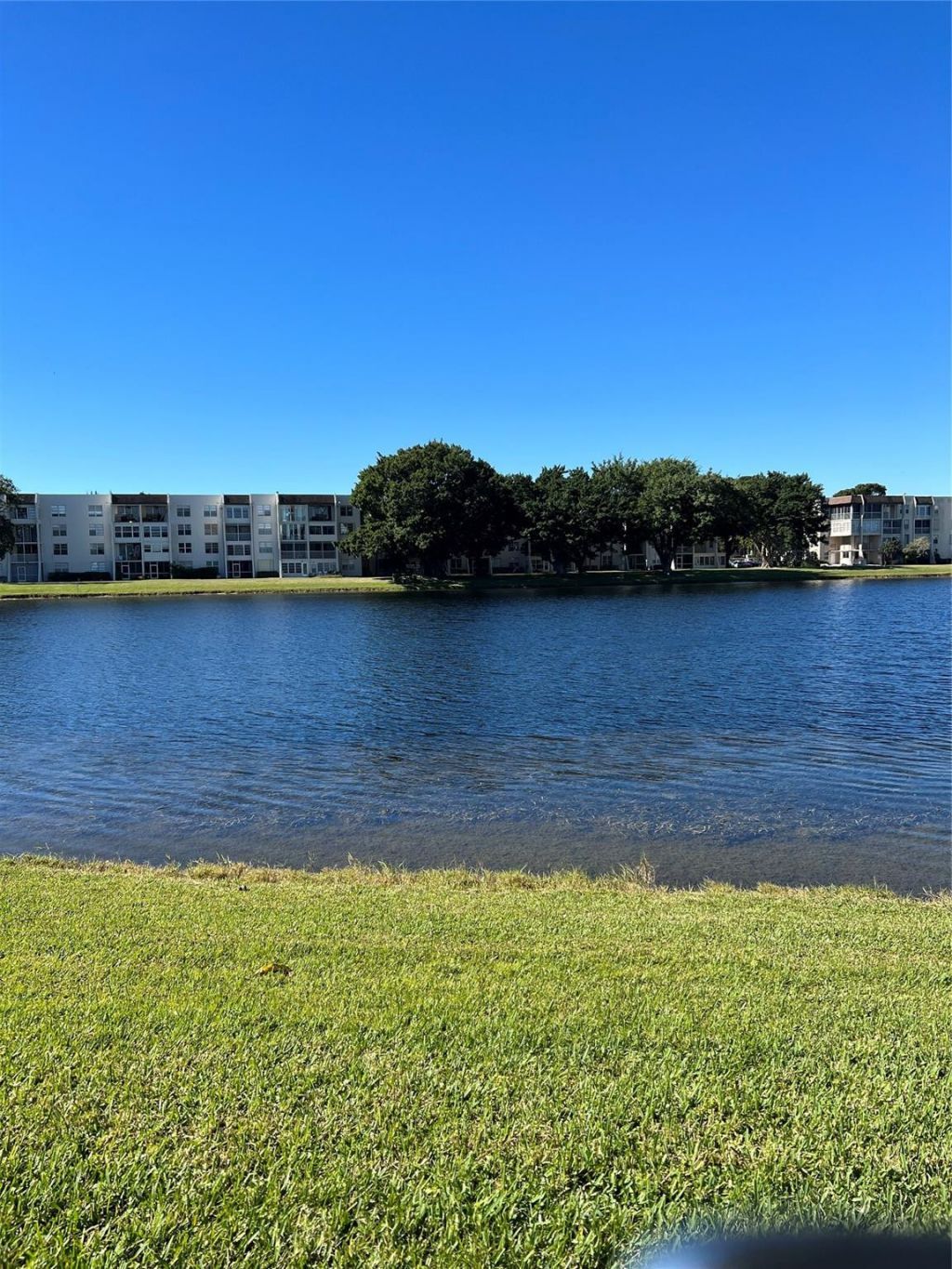 1526 Whitehall Drive, Unit 402, Davie, FL 33324 Photo