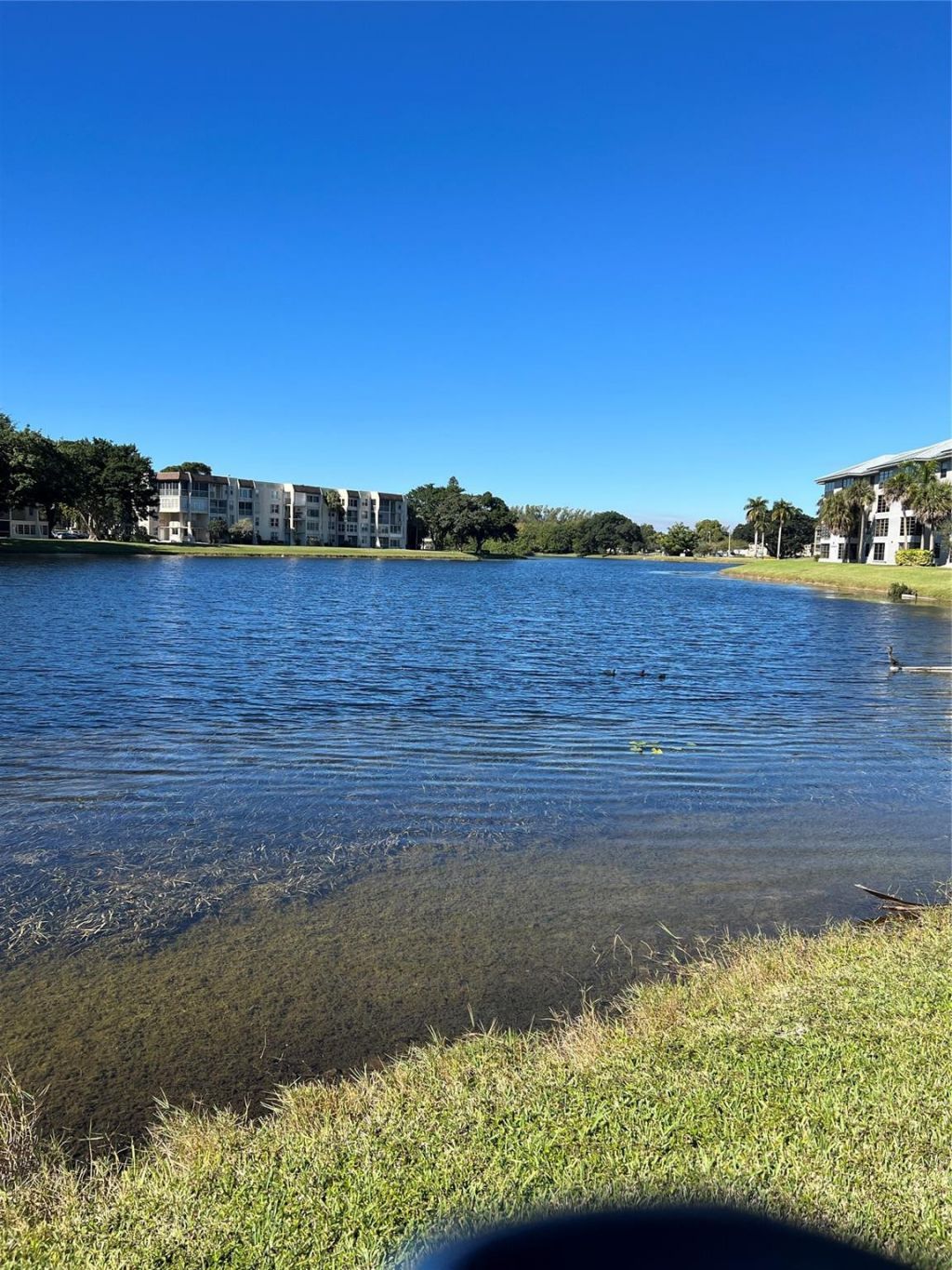 1526 Whitehall Drive, Unit 402, Davie, FL 33324 Photo