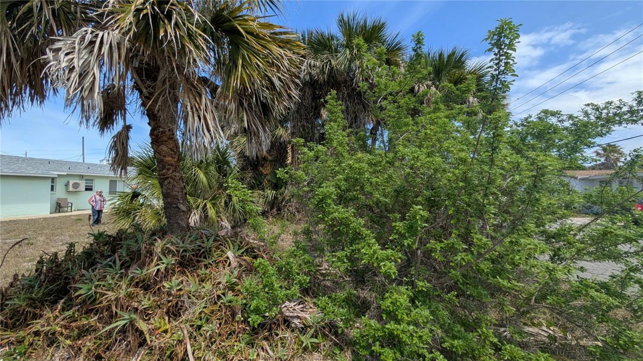 1710 S Atlantic Avenue, New Smyrna Beach, FL 32169 Photo