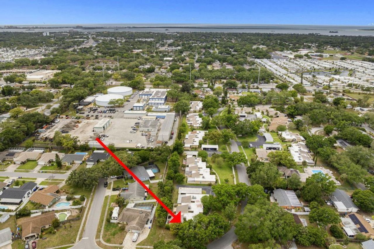 1607 Amberlea Drive S, Dunedin, FL 34698 Photo