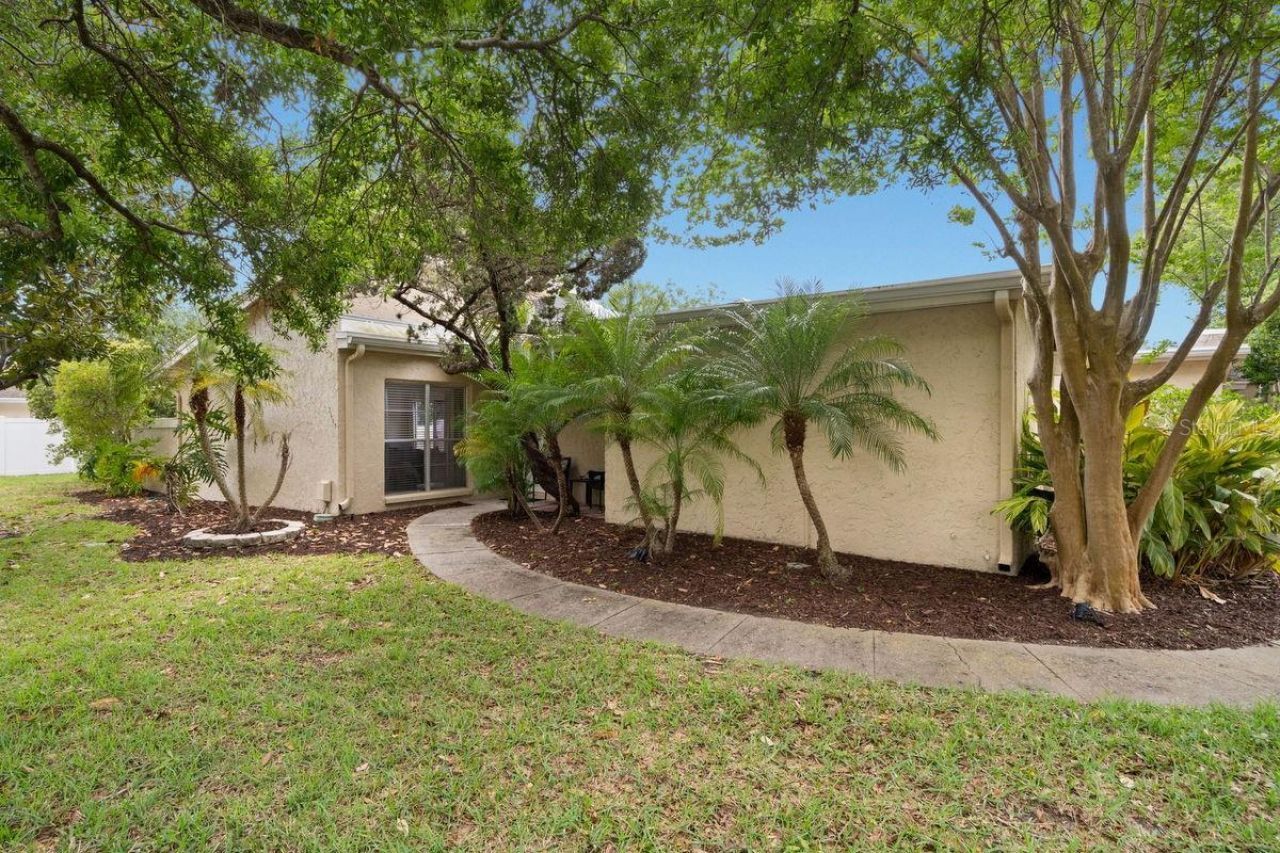 1607 Amberlea Drive S, Dunedin, FL 34698 Photo