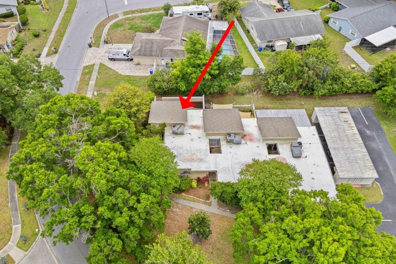 1607 Amberlea Drive S, Dunedin, FL 34698 Photo