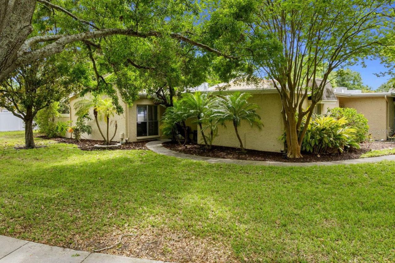 1607 Amberlea Drive S, Dunedin, FL 34698 Photo