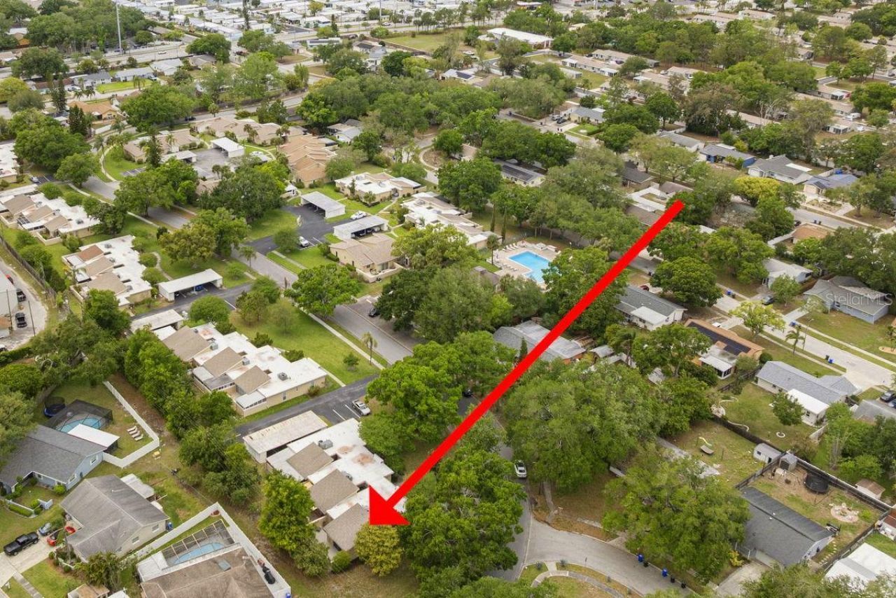 1607 Amberlea Drive S, Dunedin, FL 34698 Photo