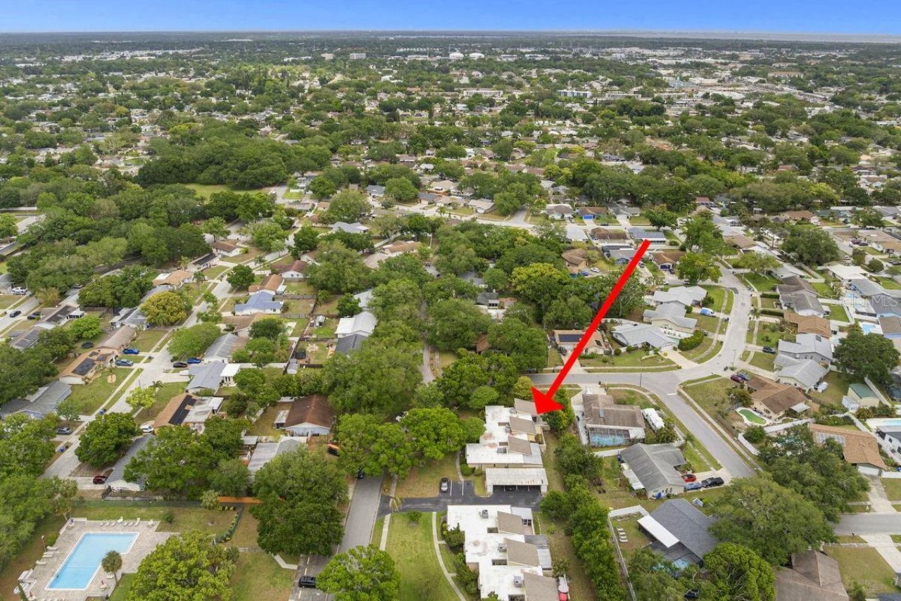 1607 Amberlea Drive S, Dunedin, FL 34698 Photo