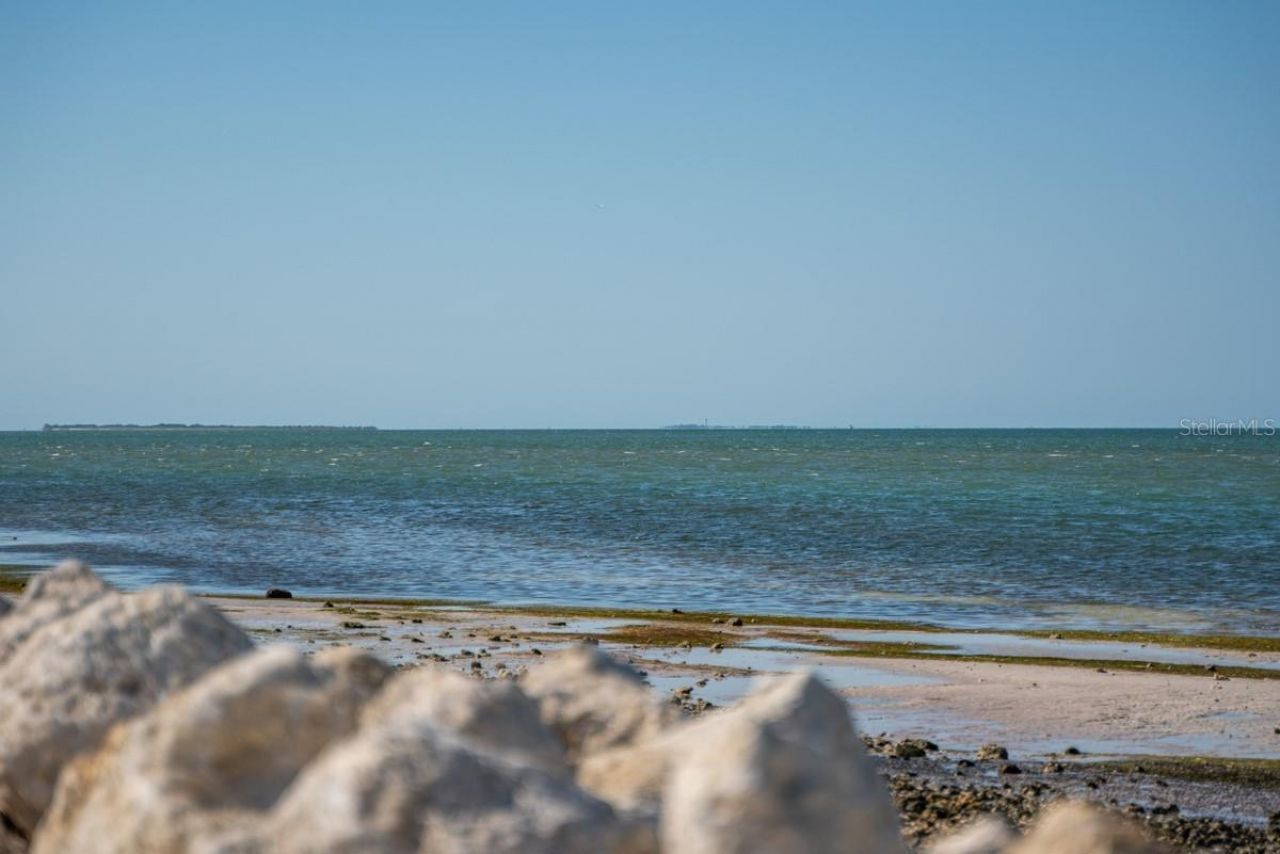 1607 Amberlea Drive S, Dunedin, FL 34698 Photo