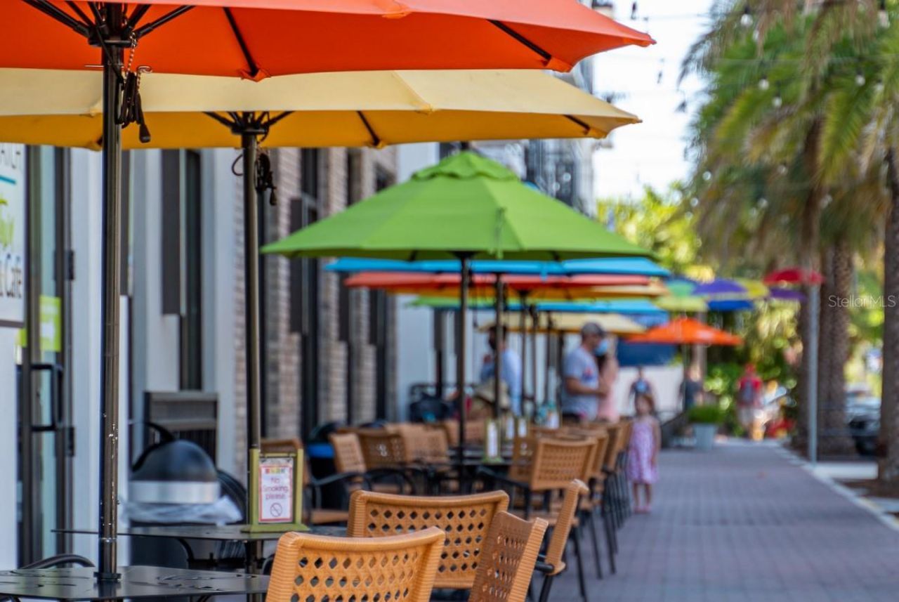 1607 Amberlea Drive S, Dunedin, FL 34698 Photo