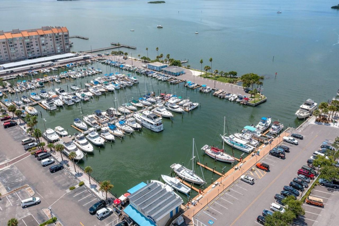 1607 Amberlea Drive S, Dunedin, FL 34698 Photo