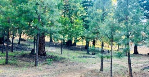 275 Osprey Loop, Lot #5, Lake Almanor, CA 96020 Photo